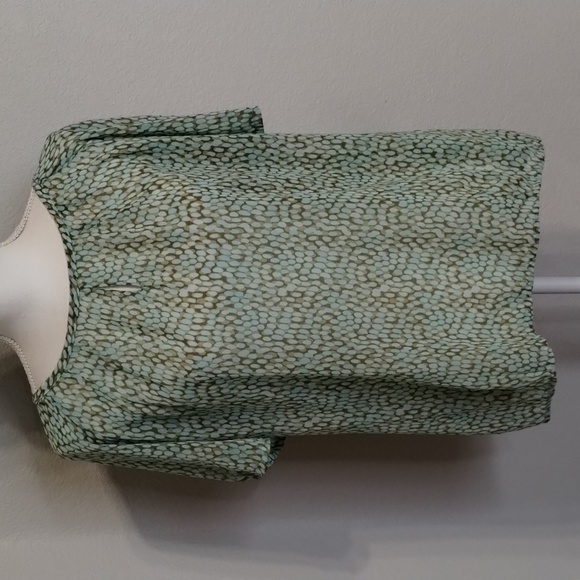 CAbi Tops - CAbi Blouse 602 Size Medium Pebble Blue Green Print Sheer Flowy Shirt Sleeve